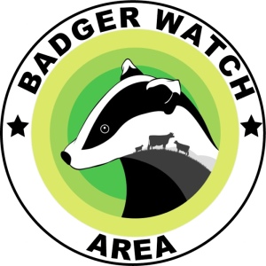 dbbw-badger-watch